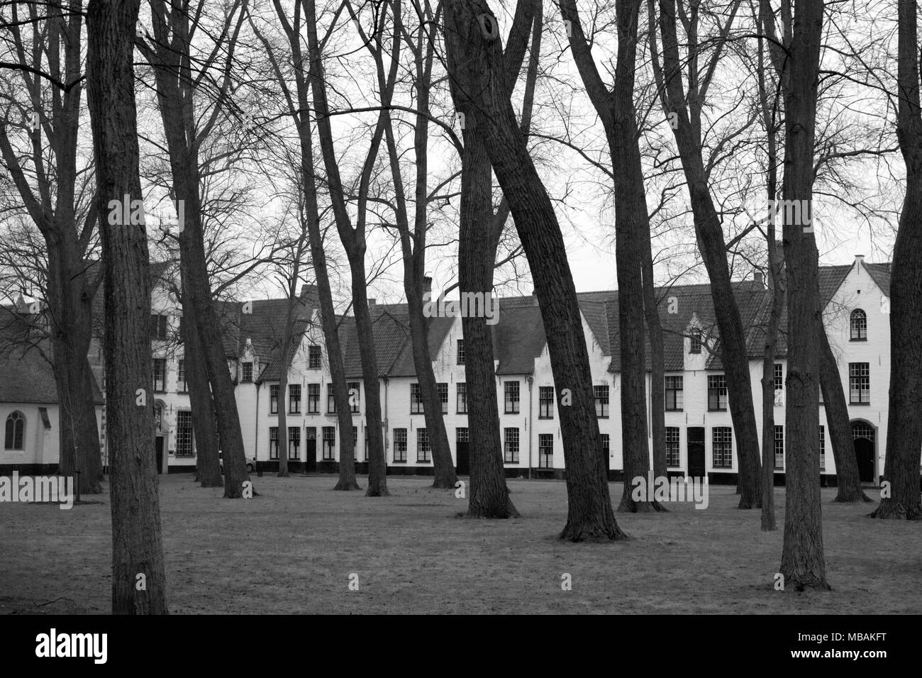 The tranquil Begijnhof ten Wijngaard, Brugge, West Flanders, Belgium: now a Benedictine convent; formerly a 'beguinage' for pious women Stock Photo