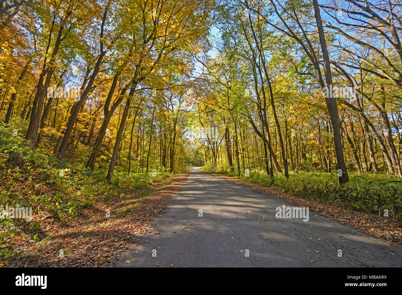 Rural Road in the Fall in Wyalusing State Park in Wisconsin Stock Photo