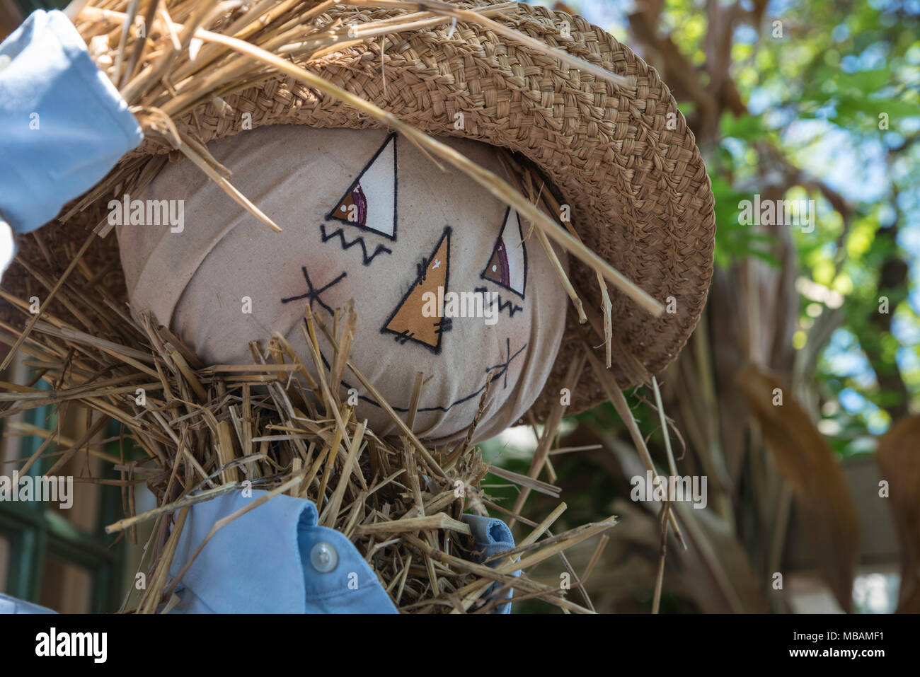 Face of a Happy scarecrow with straw hat Stock Photo Alamy