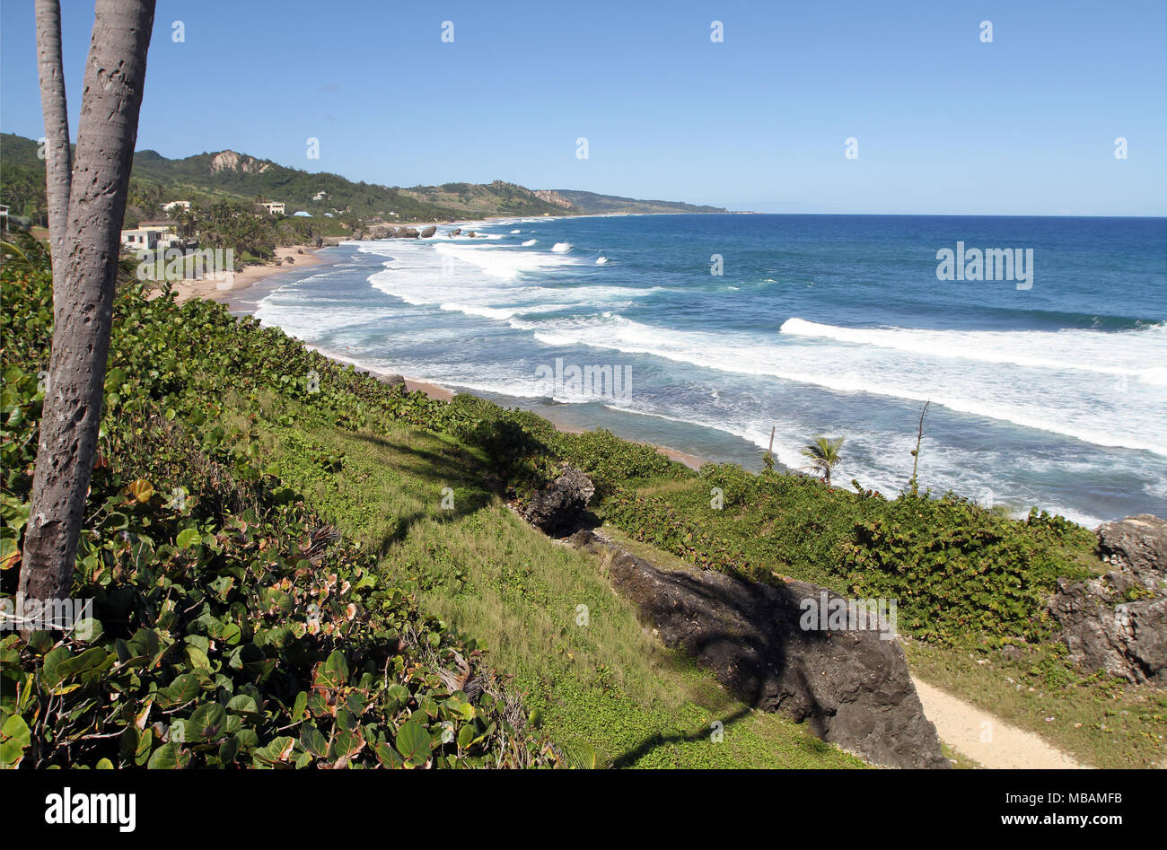 Breaking waves beach hi-res stock photography and images - Alamy