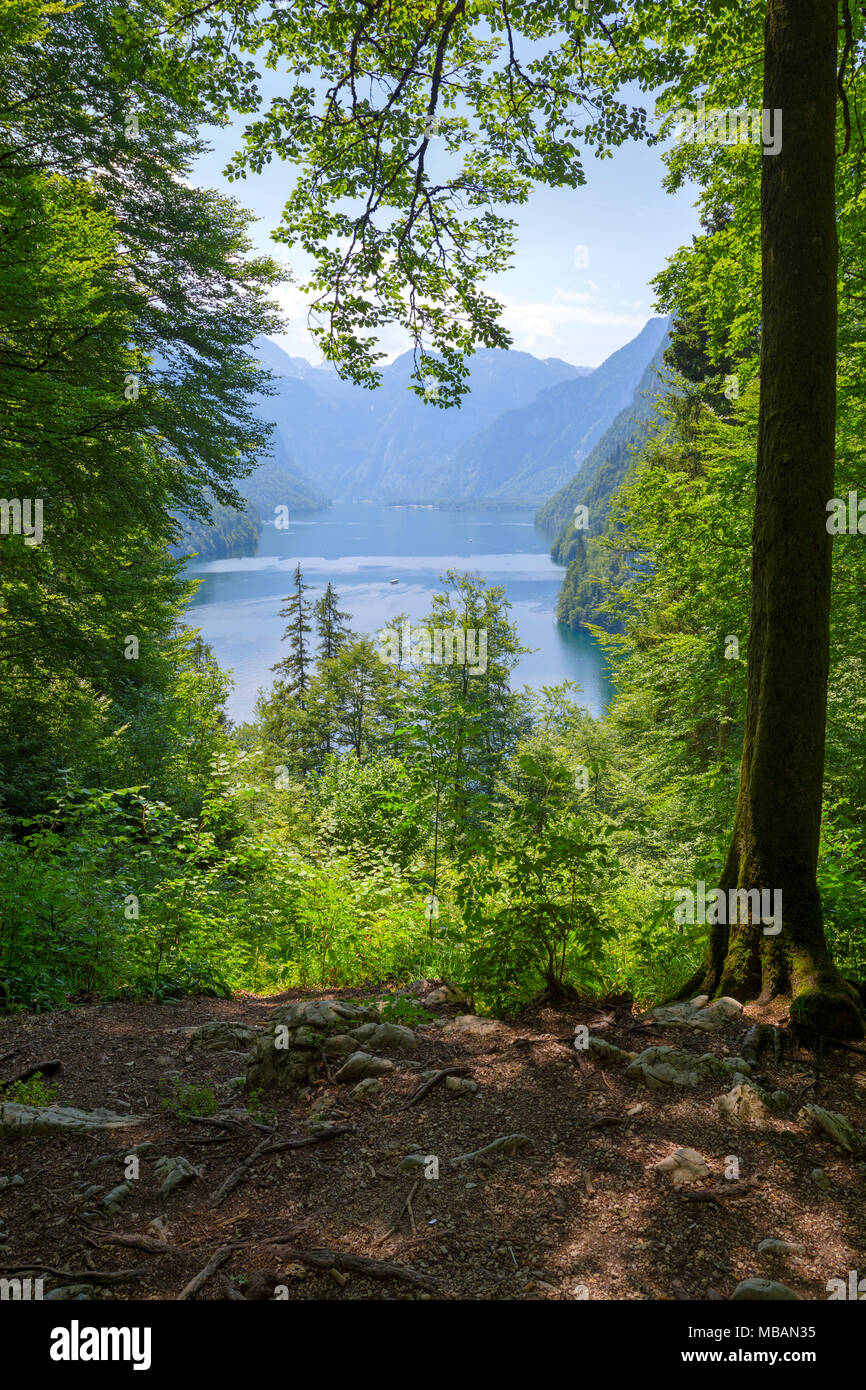 Königssee lake  view from forest pathway Stock Photo