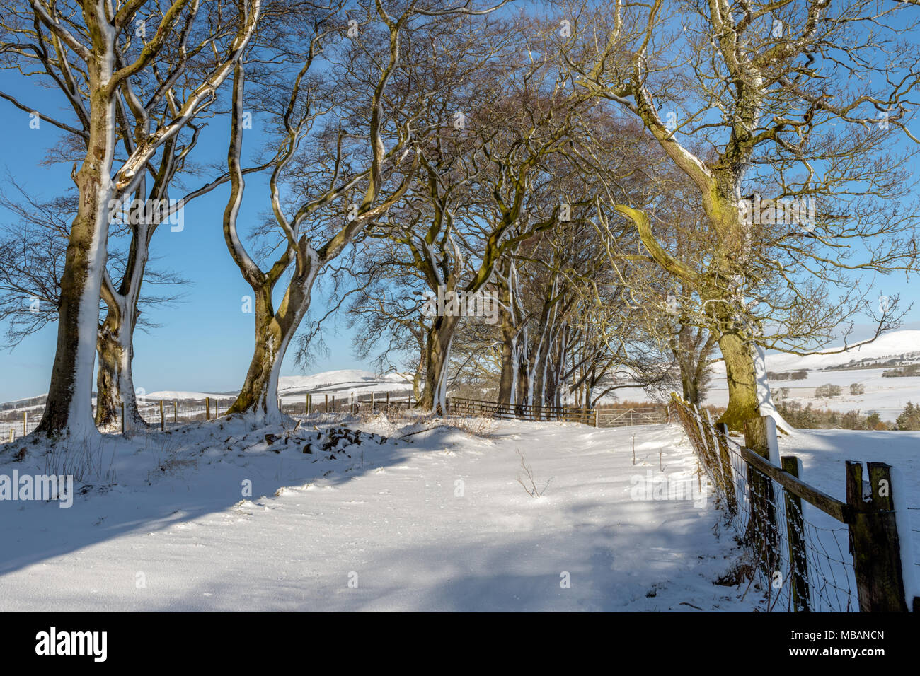 Winter along the West Linton to Peebles Drove Road The Scottish Borders