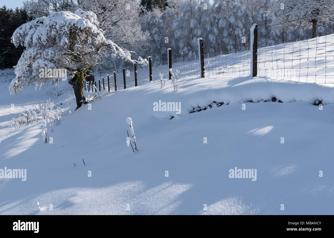 Winter above Romanno Bridge in the Scottish Borders Stock Photo Alamy