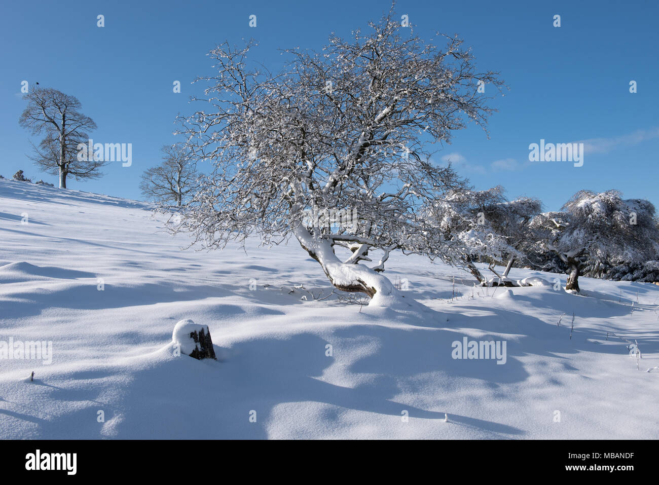 Winter on the West Linton To Peebles Drove Road in The Scottish Borders