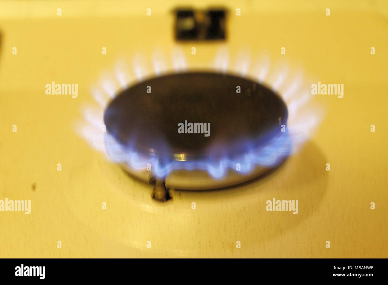 Natural gas burning on kitchen gas stove Stock Photo Alamy