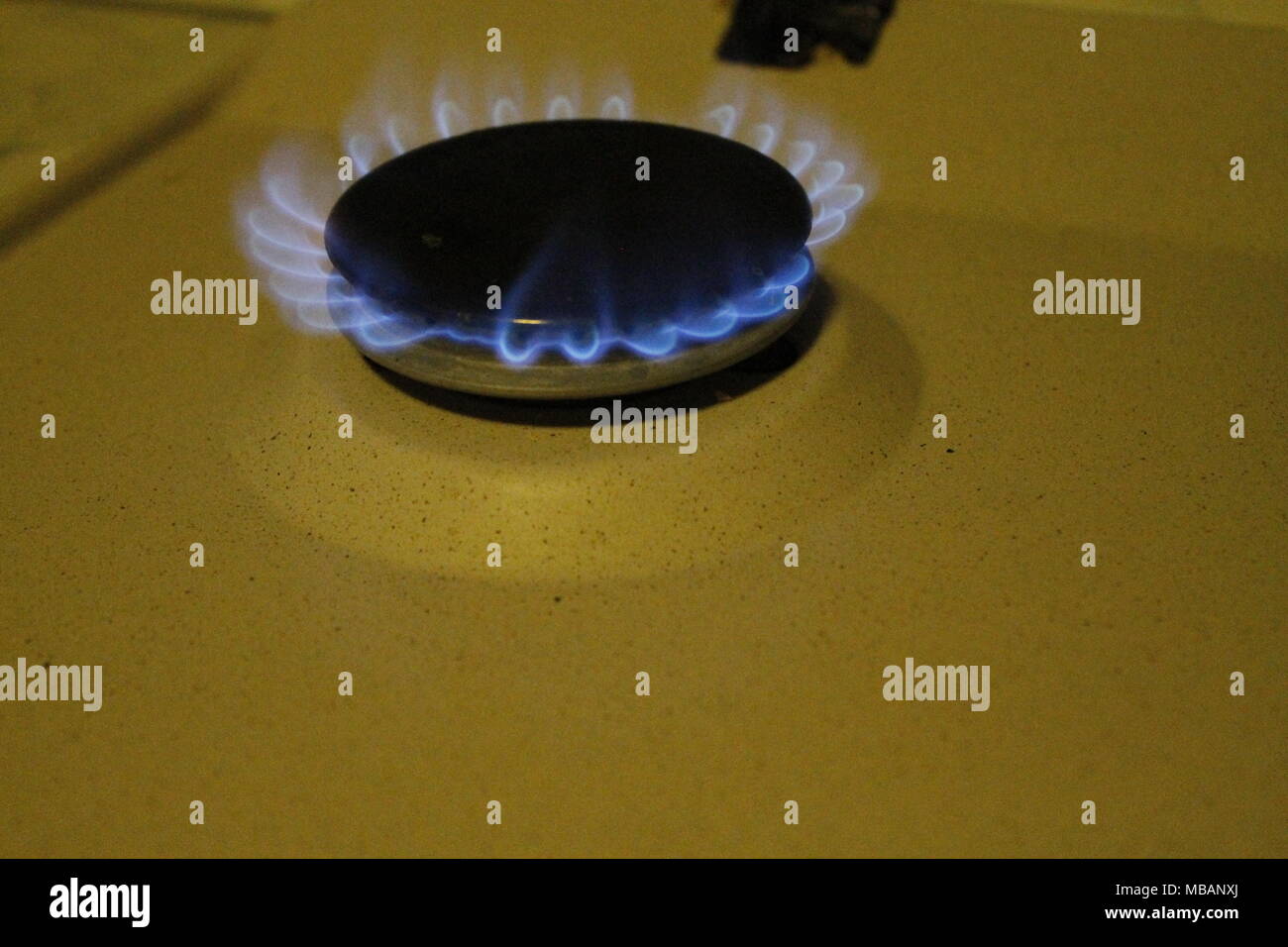 Natural gas burning on kitchen gas stove Stock Photo Alamy
