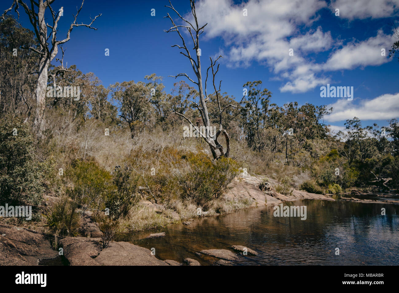 Megalong Valley, River, Blue Mountains, Australia Stock Photo