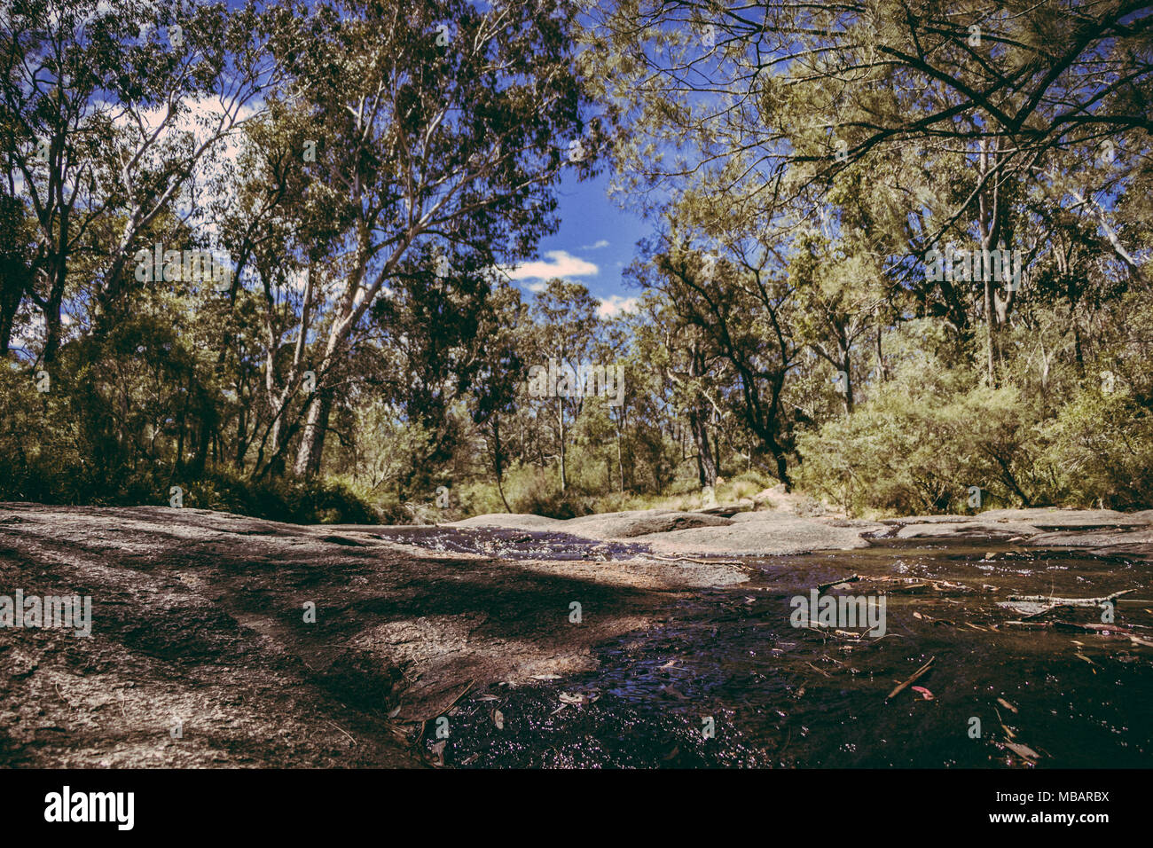 Megalong Valley Creek Bed, Blue Mountains, Australia Stock Photo