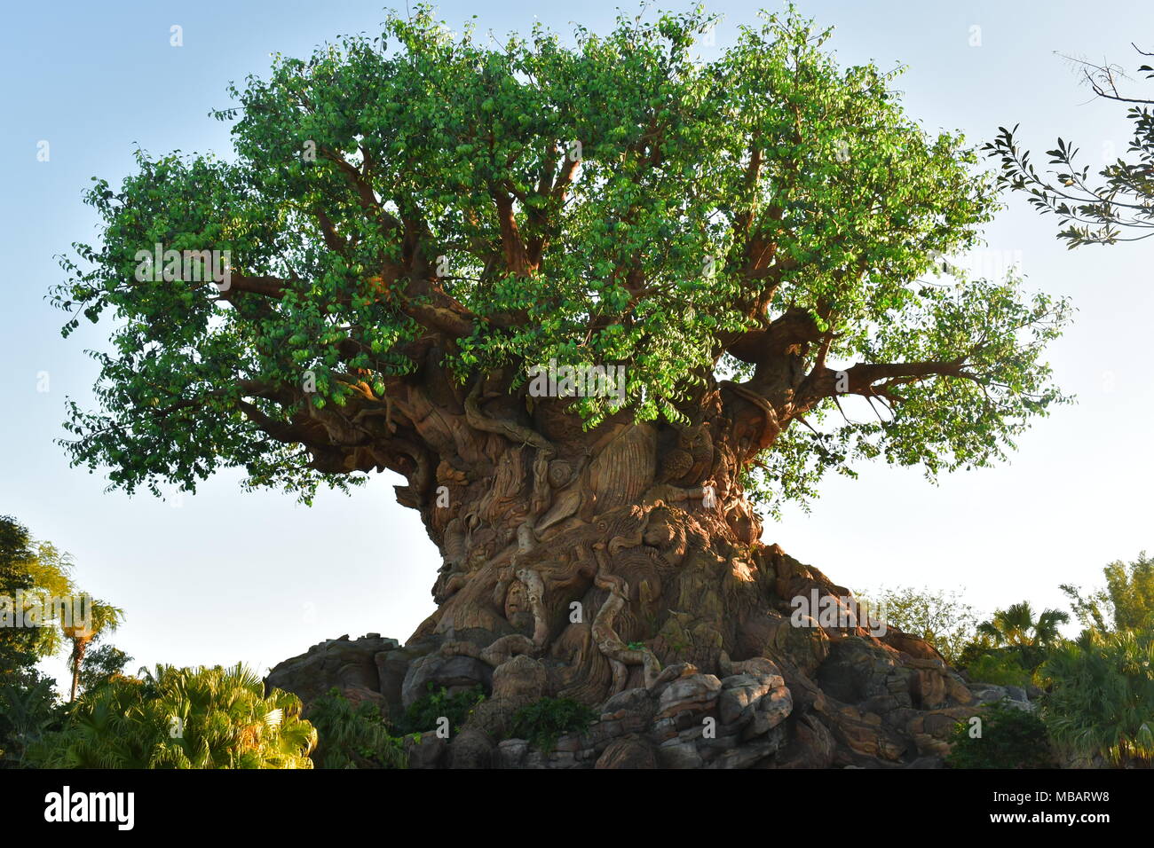 Tree of Life at Animal Kingdom Park Stock Photo