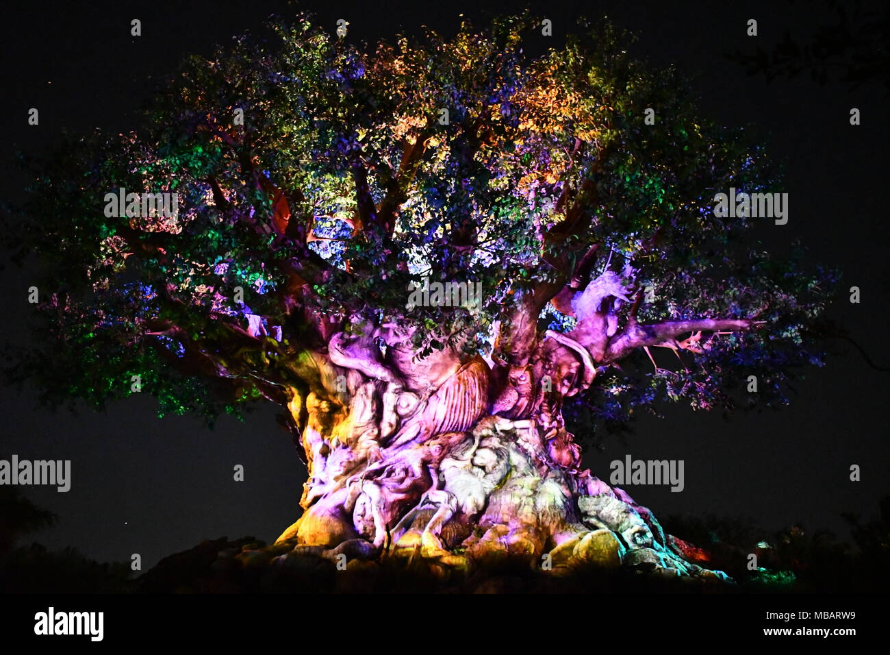 Tree of Life lit up at night at the Animal Kingdom Park in Disney World Stock Photo