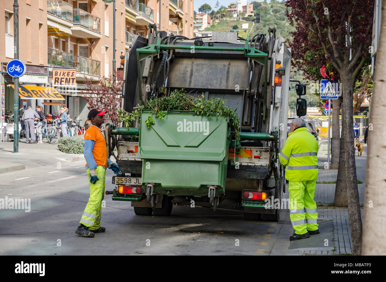 A rubbish bin full of garden trimmings is emptied into the back of a bin lorry. Stock Photo
