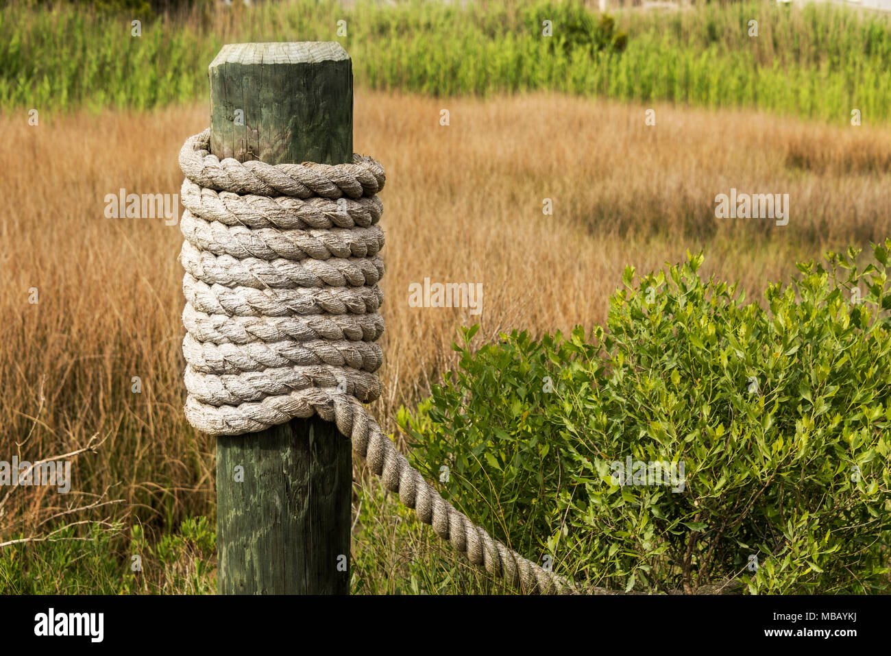 coastal beach landscape post at the beach with rope wrapping Stock