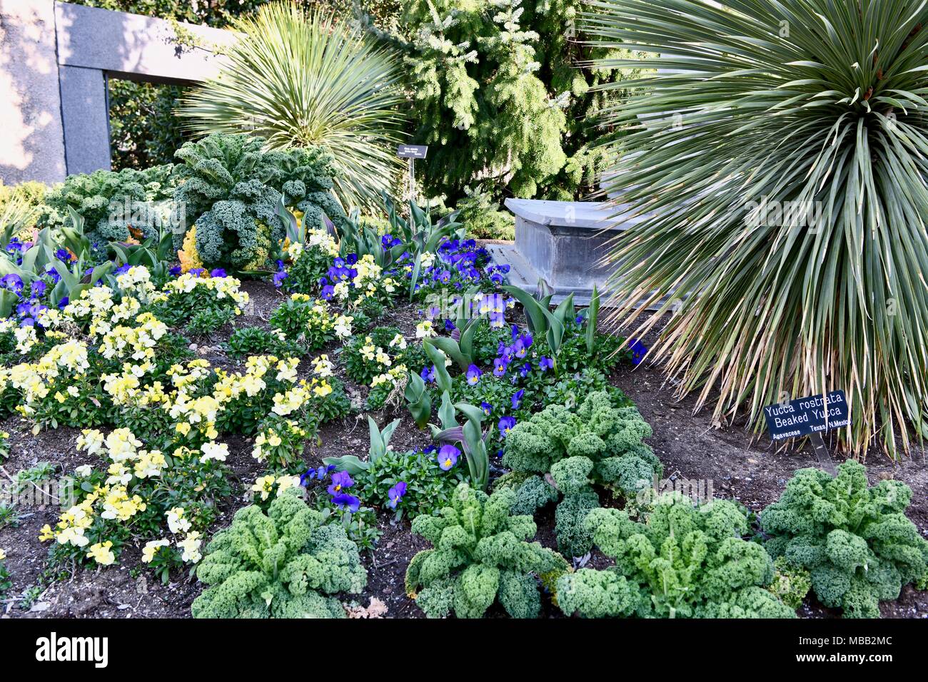 Small flower garden in Washington DC, USA Stock Photo Alamy