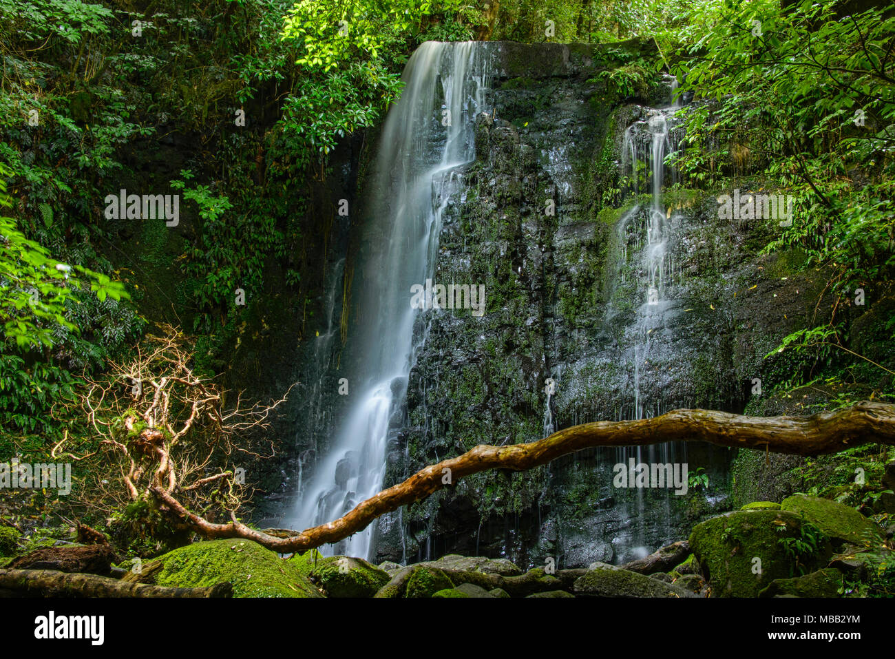 Matai Falls in the Catlins, New Zealand Stock Photo