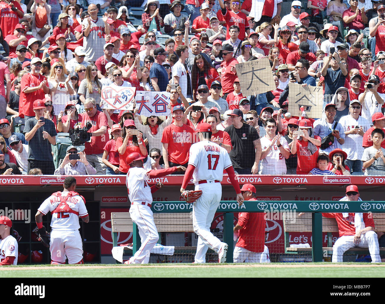 Fans cheer as Los Angeles Angels starting pitcher Shohei Ohtani walks back to the dugout after the top of the second inning during the Major League Baseball game against the Oakland Athletics