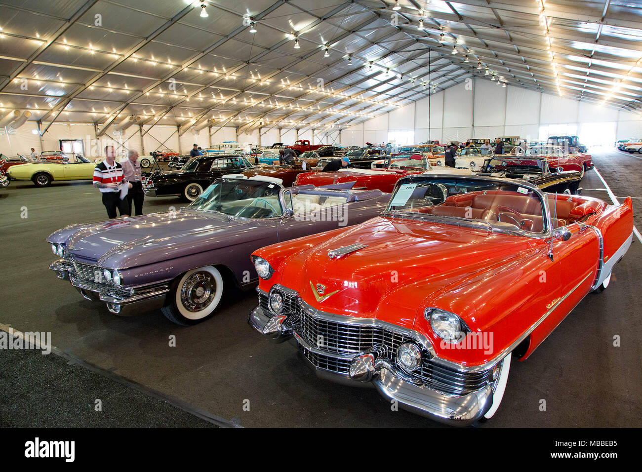 April 10, 2018 - West Palm Beach, Florida, U.S. - (l to r) A 1960 Cadillac Eldorado Biarritz convertible and 1954 Cadillac Eldorado convertible are part of the more than 140 cars John Staluppi is selling at the South Florida Fairgrounds in West Palm Beach, Florida on April 10, 2018. Staluppi is auctioning off more than 140 cars from his Cars of Dreams Collection housed in his museum in North Palm Beach. The Barrett-Jackson auto auction runs April 12-15 at the South Florida Fairgrounds. The auto auction will last four days this year due to the number of car's Staluppi is selling. (Credit Image: Stock Photo