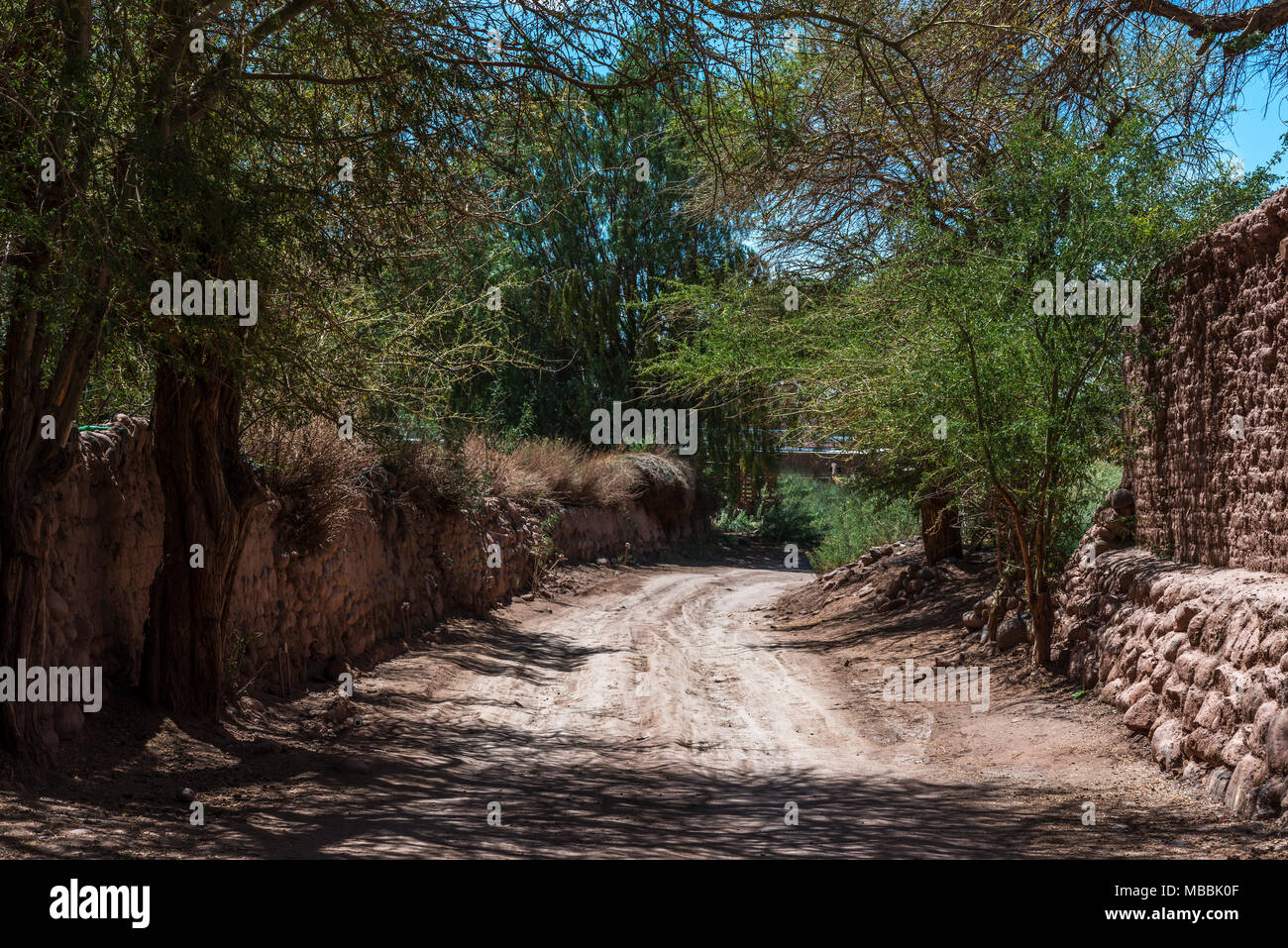 Small alley surrounded by trees in San Pedro de Atacama, Chile Stock Photo