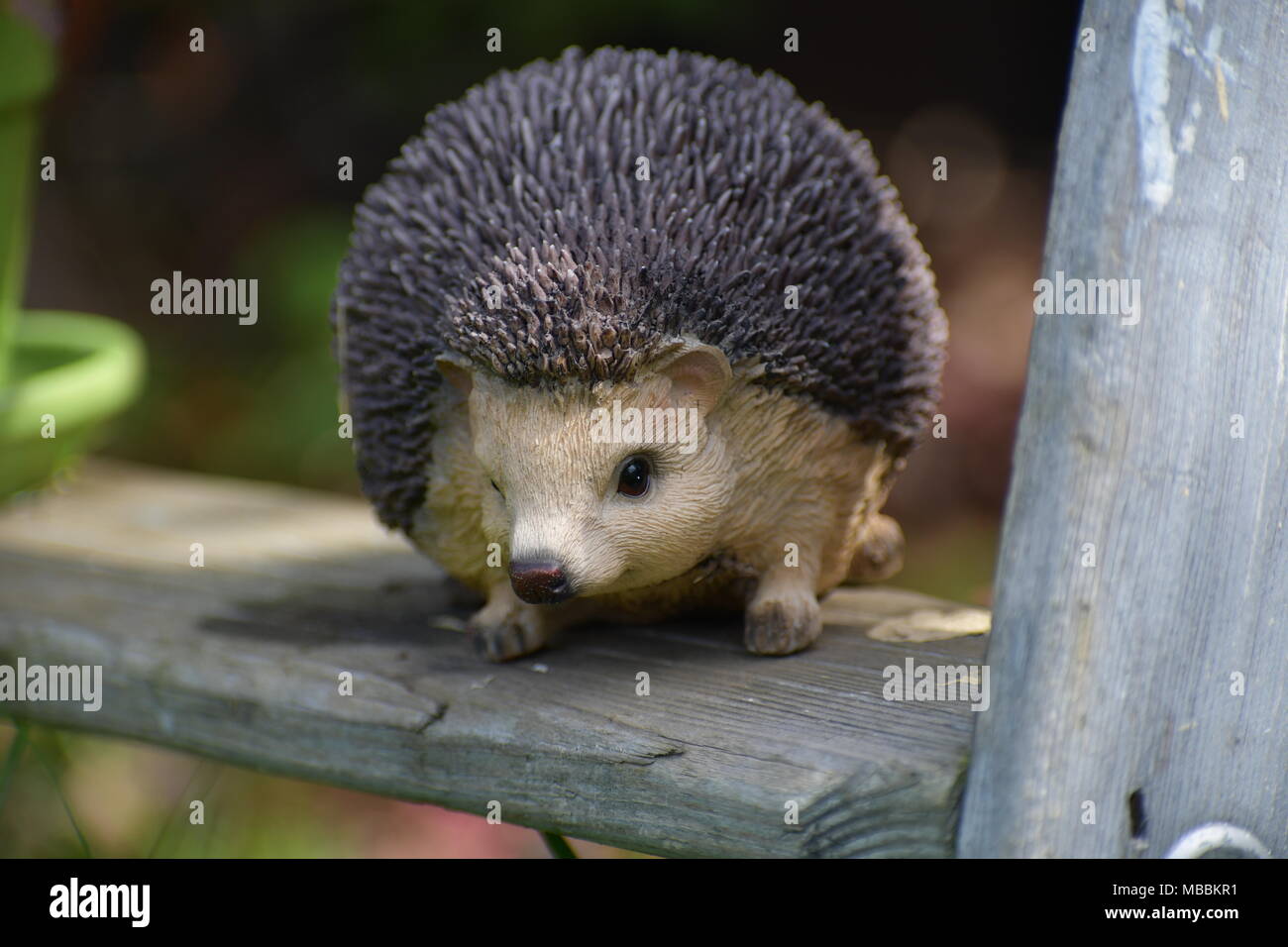 Hedgehog yard ornament sitting on a ladder Stock Photo