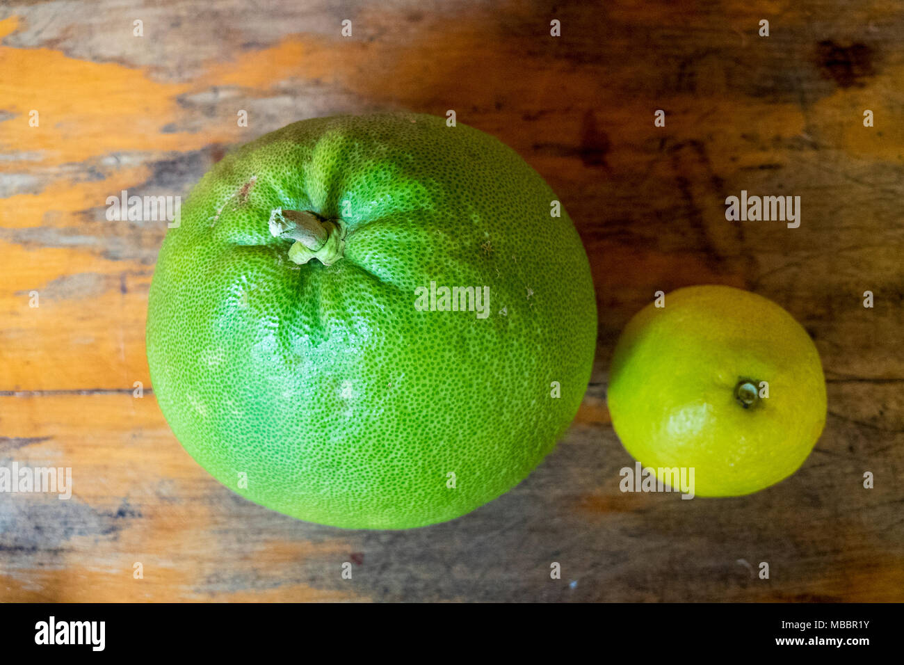 A green pomelo and a yellow lemon side by side Stock Photo Alamy