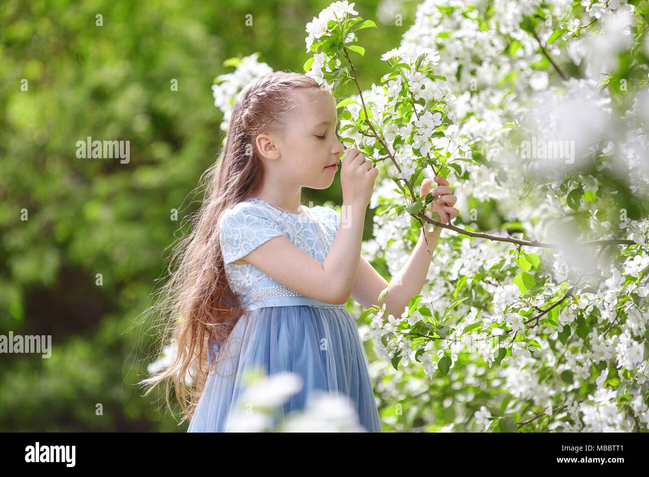 Cute little girl in dress in blooming apple tree garden at spring Stock ...