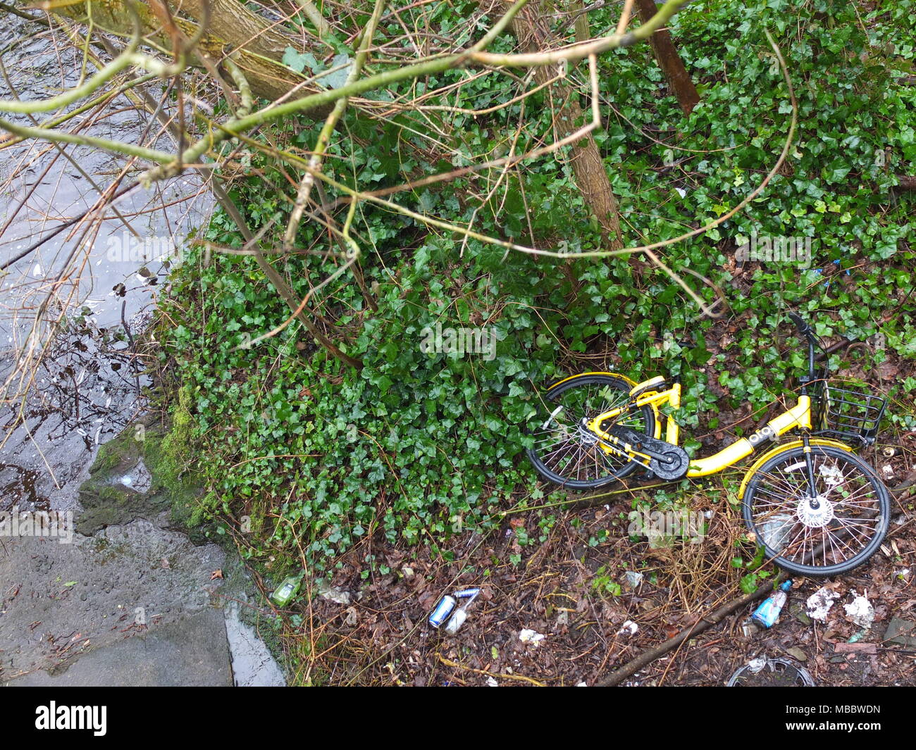 A discarded yellow Ofo hire bike tossed over bridge onto banks of River Rivelin, Sheffield. The hire scheme was subsequently withdrawn from the city. Stock Photo
