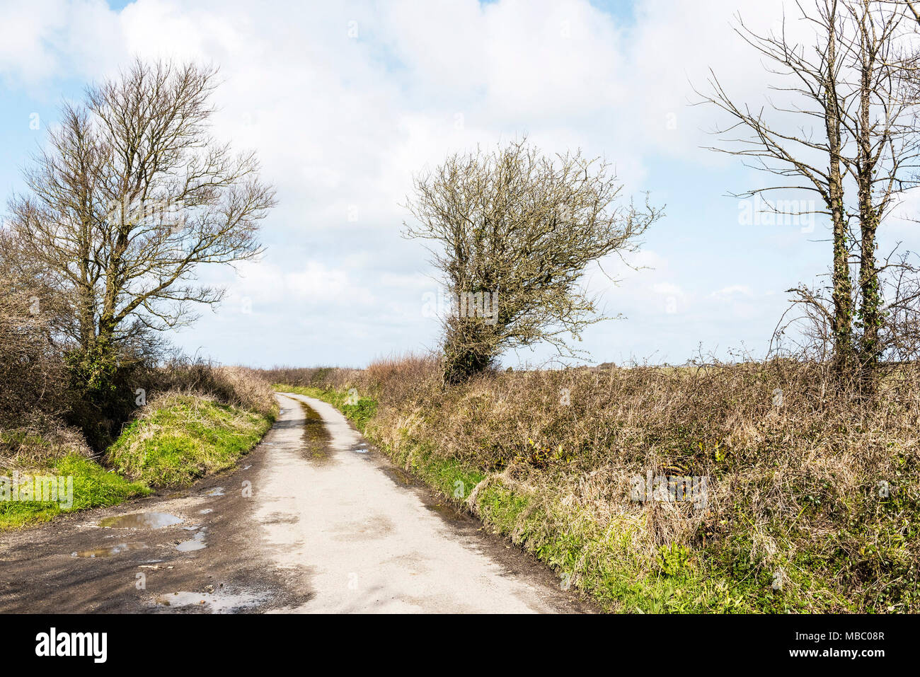 A quiet country lane in Cornwall. Stock Photo