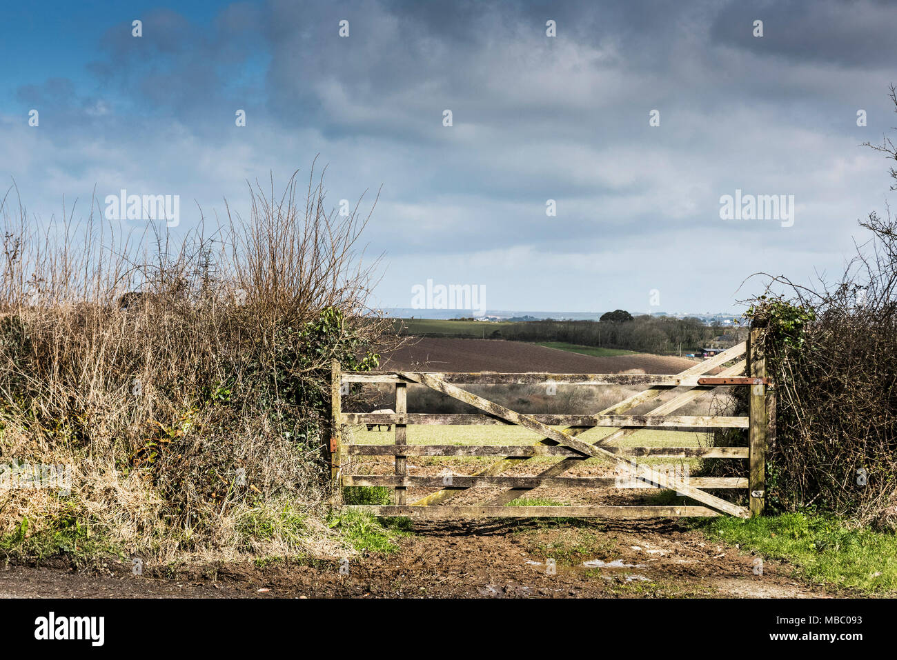 A wooden five bar gate across the entrance to a field in Newquay Cornwall. Stock Photo