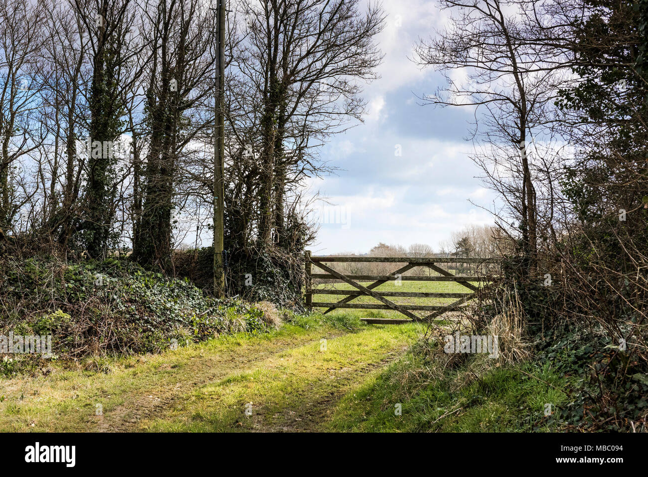 A wooden five bar gate across the entrance to a field in Newquay Cornwall. Stock Photo