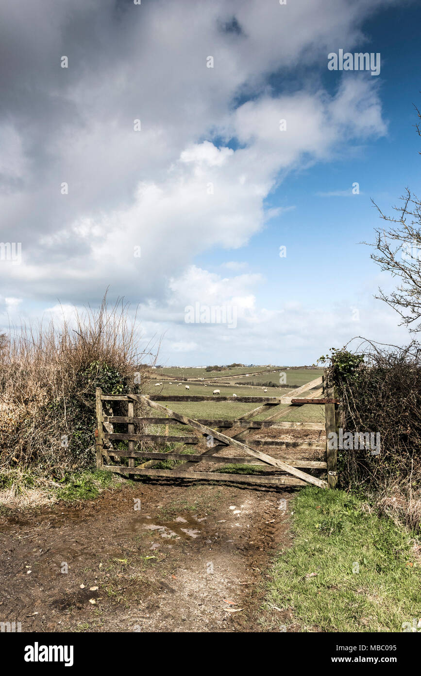 A closed wooden five bar at the entrance to a field in Newquay Cornwall. Stock Photo