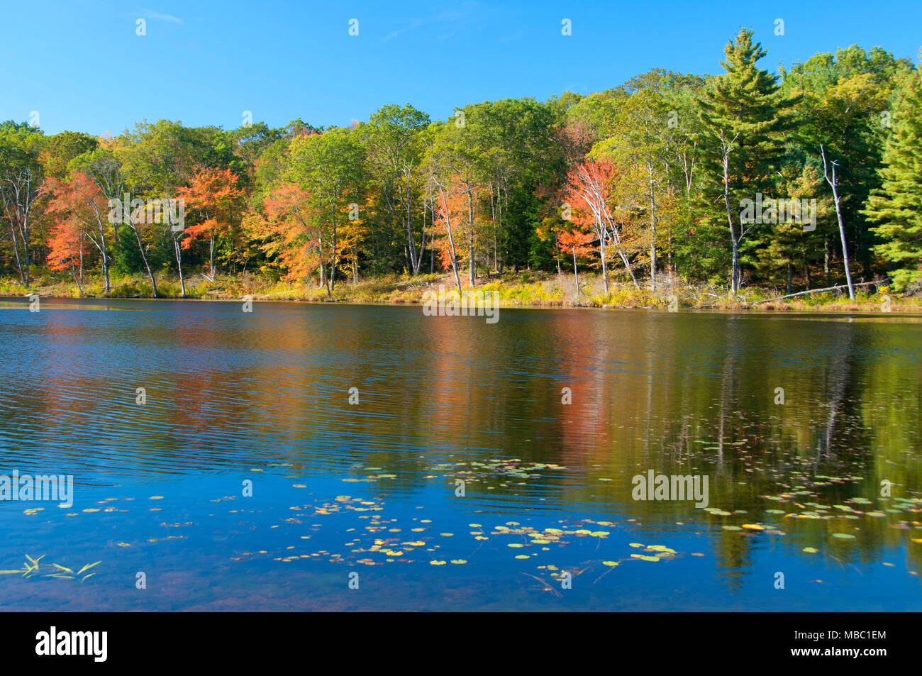 Park pond, Gay City State Park, Connecticut Stock Photo