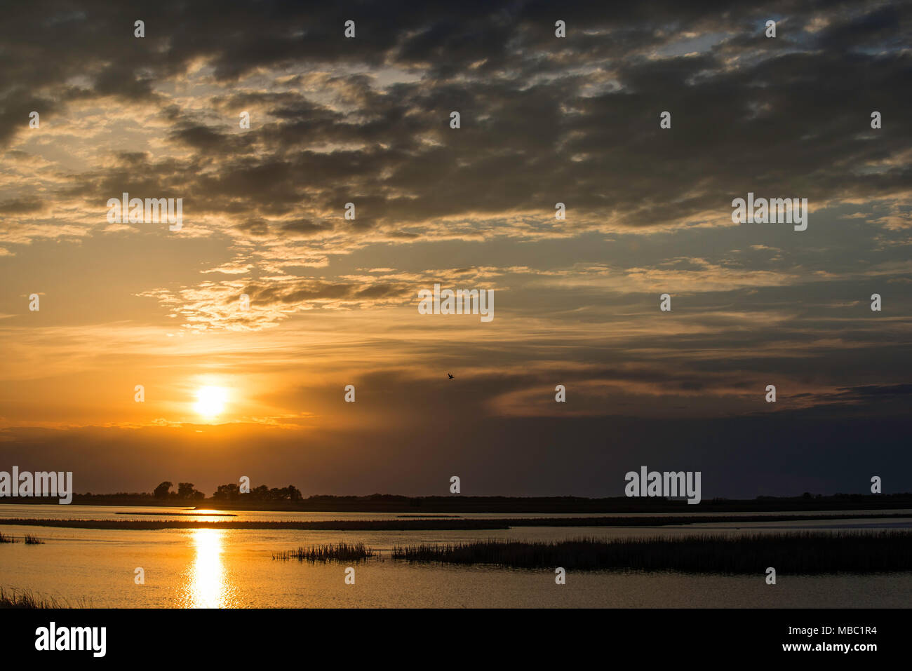 Sunset, Sand Lake NWR, S. Dakota, USA, by Bruce Montagne/Dembinsky Photo Assoc Stock Photo