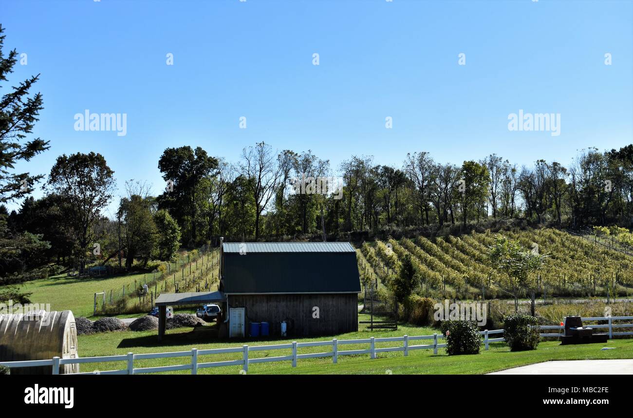 Spring gate vineyard hi res stock photography and images Alamy