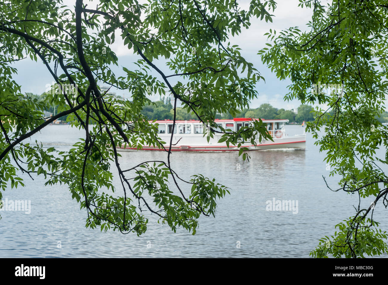 Looking through a courtain of branches of trees at Alster Lake in summer and Alster Tourist Ship in Hamburg, Germany in blurry background. Stock Photo