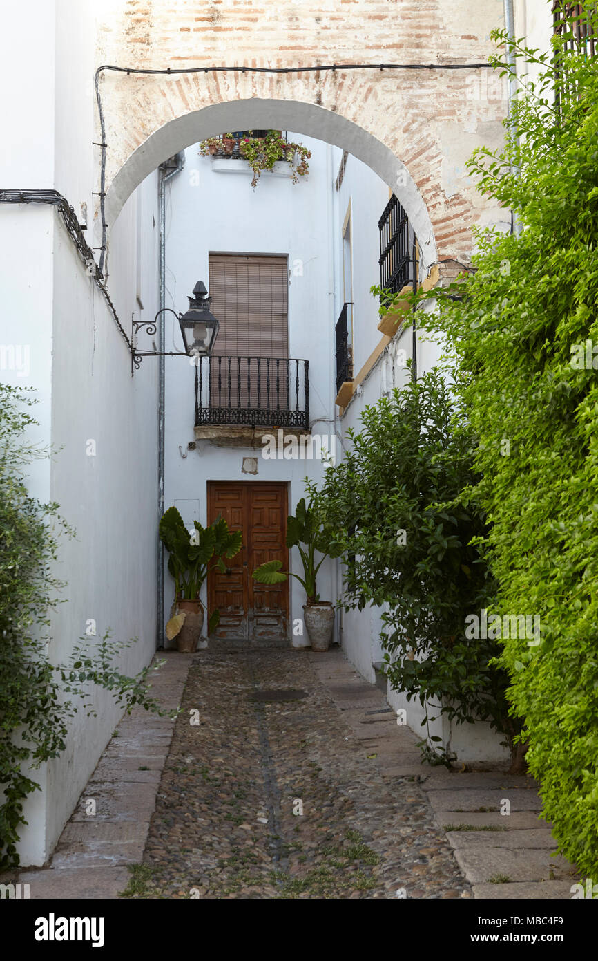 Typical alley in Córdoba, Andalusia, Spain Stock Photo Alamy
