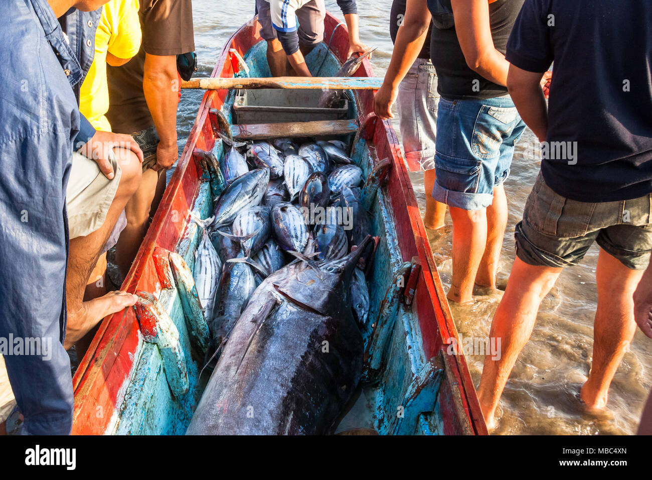 Fishing, swordfish and tuna in a canoe. Stock Photo