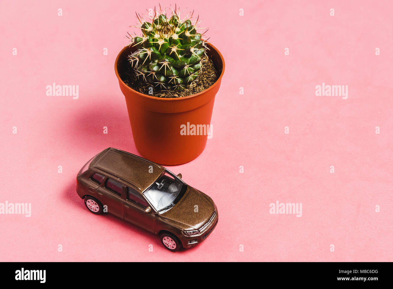 Closeup Cactus in Brown Vase with Model Car on Pink Backgrounf. Image for Nature, Nobody, Summer, Garden Concept. Stock Photo