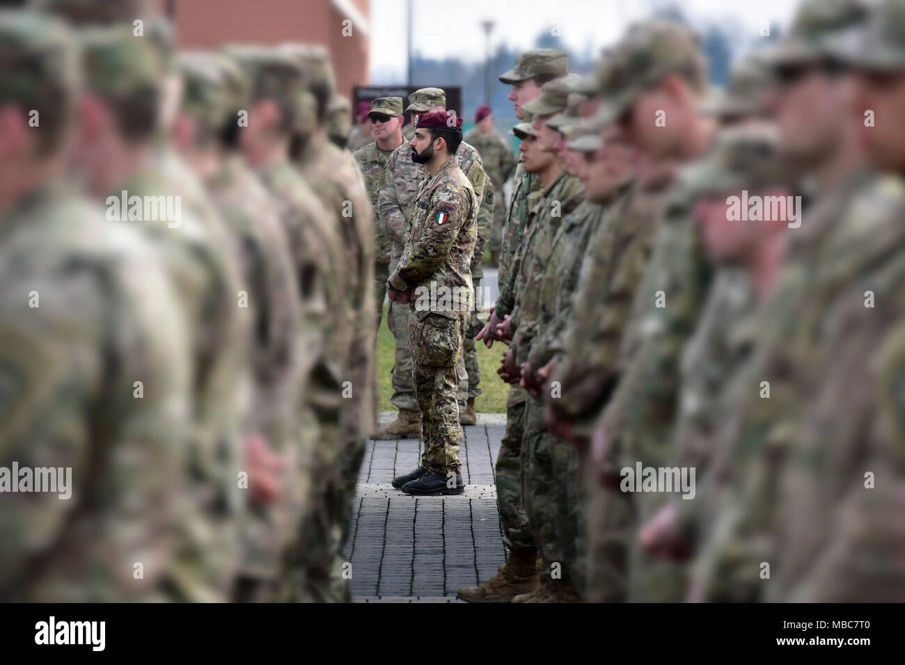 A Italian Army Soldier stands in formation during the Expert Infantryman Badge (EIB) ceremony at Caserma Del Din, Vicenza, Italy, 15 Feb. 2018. (U.S. Army Stock Photo