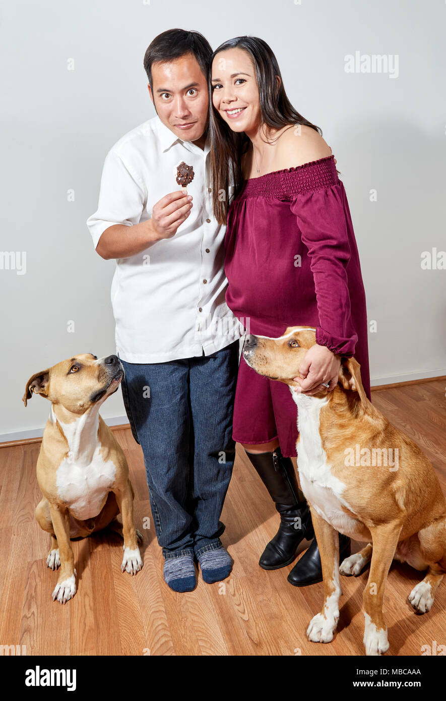 Can a man impregnate a dog 2025