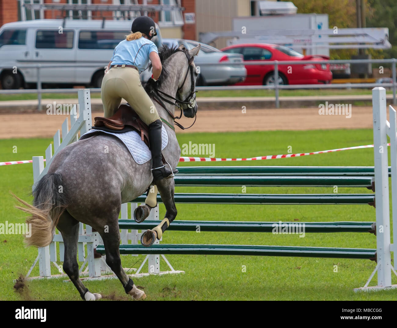A horse jumping a barrier Stock Photo