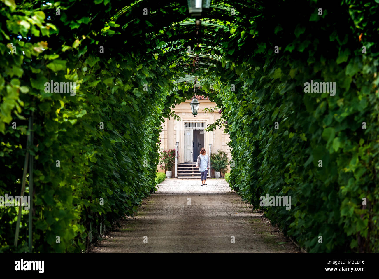 Green garden arches and path. Landscape gardening design in Rundale palace, Latvia Stock Photo