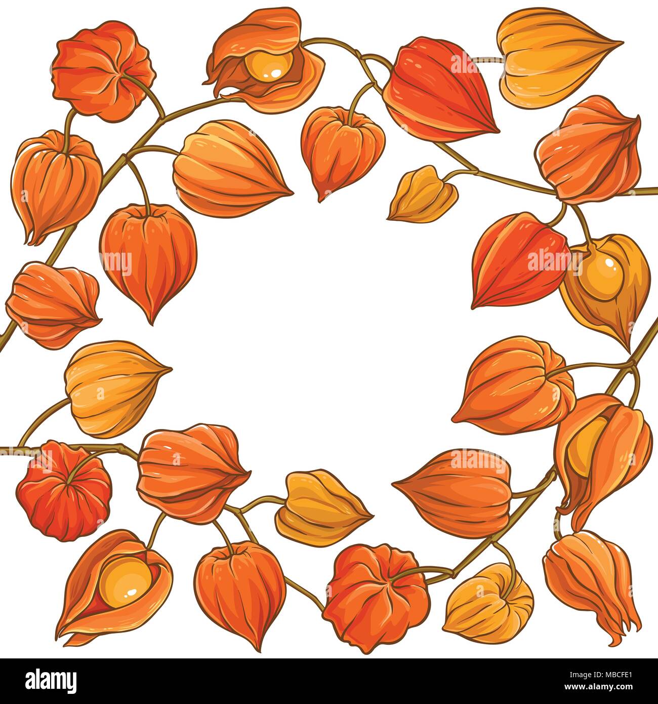 phisalis branch vector frame on white background Stock Vector