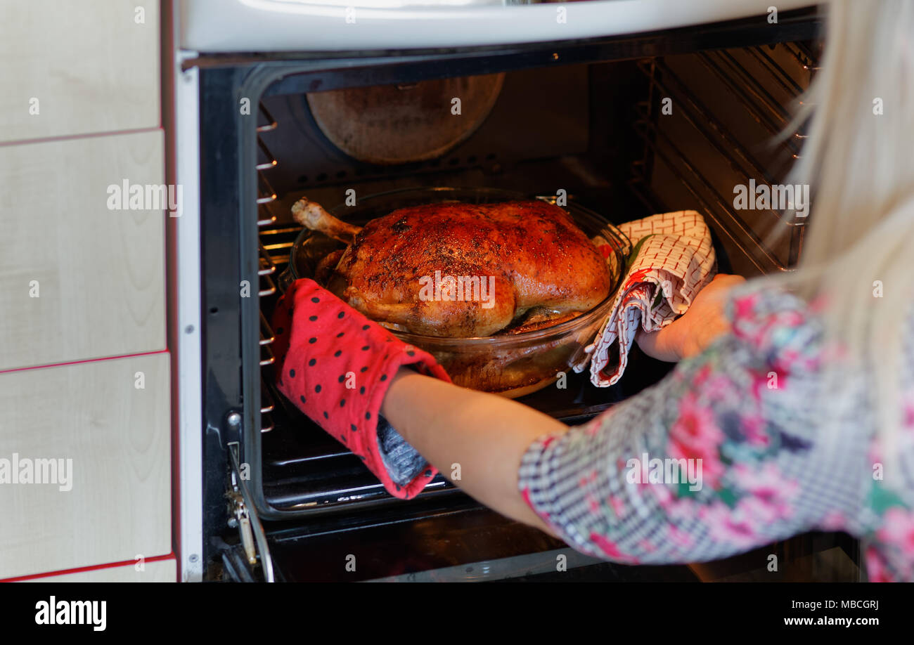 Woman taking out crispy roasted duck in a roasting pan in an oven Stock