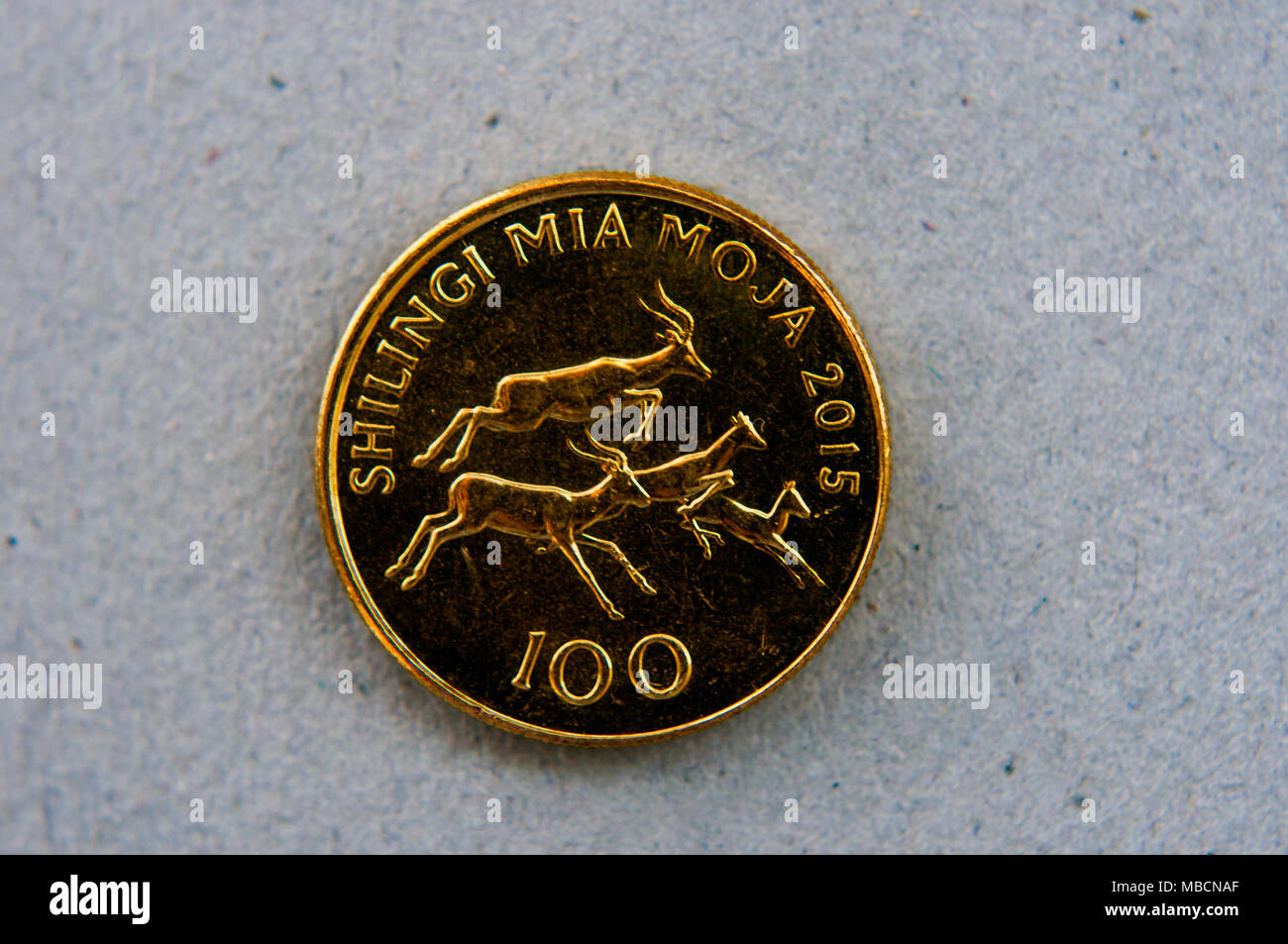 100 shilling Tanzania shilling coin, depicting leaping impalas,  in semi studio setting, Dar es Salaam, Tanzania Stock Photo