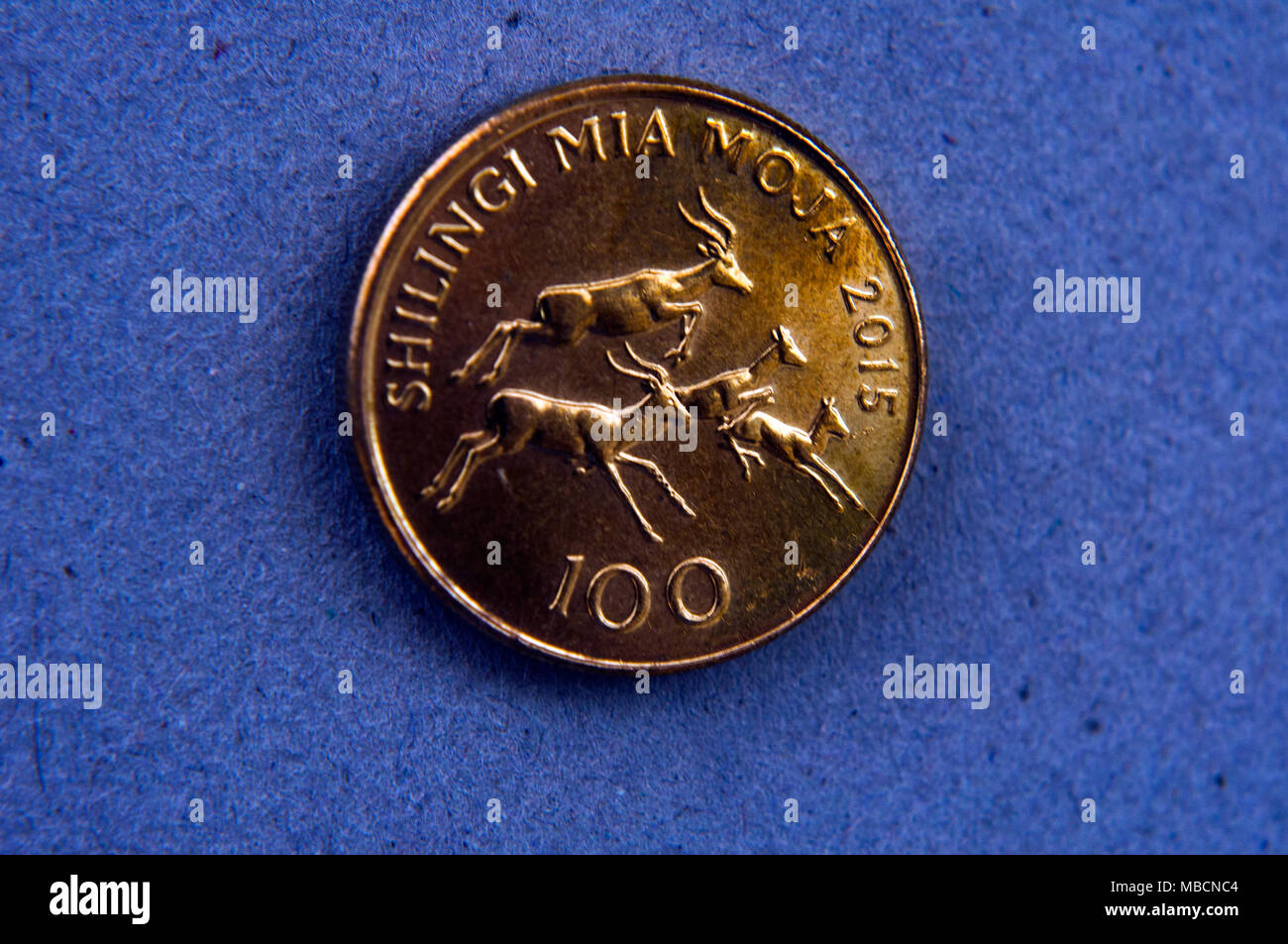 100 shilling Tanzania shilling coin, depicting leaping impalas,  in semi studio setting, Dar es Salaam, Tanzania Stock Photo