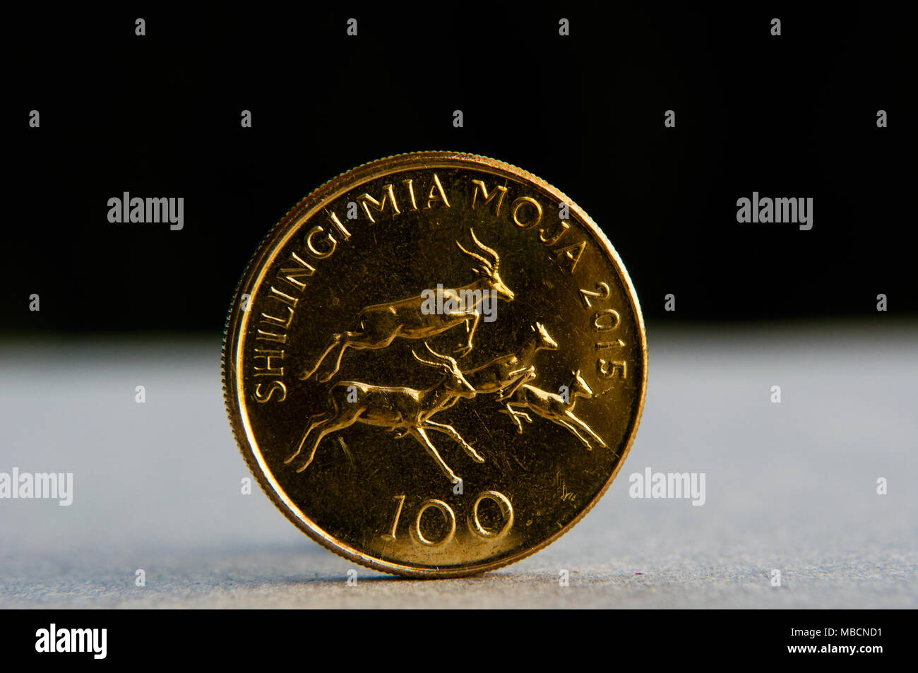 100 shilling Tanzania shilling coin, depicting leaping impalas,  in semi studio setting, Dar es Salaam, Tanzania Stock Photo