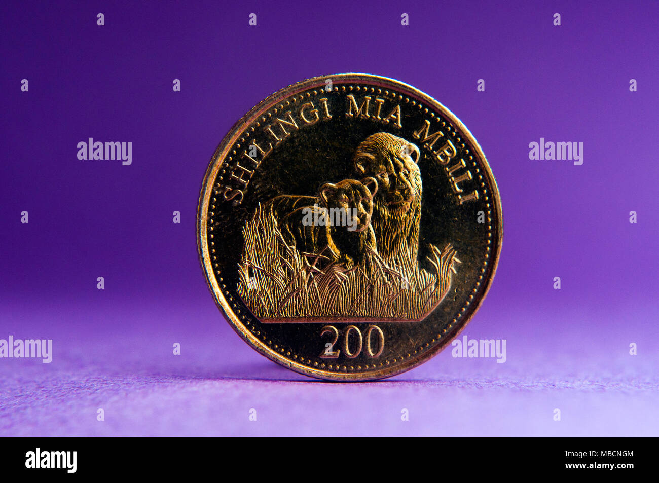 200 Tanzania shilling coin, depicting male and female lion, in semi studio setting, Dar es Salaam, Tanzania Stock Photo