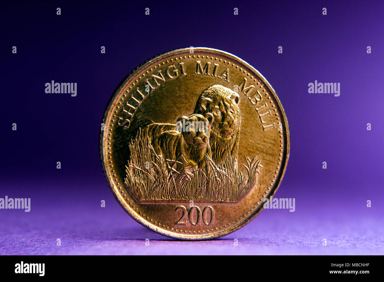 200 Tanzania shilling coin, depicting male and female lion, in semi studio setting, Dar es Salaam, Tanzania Stock Photo