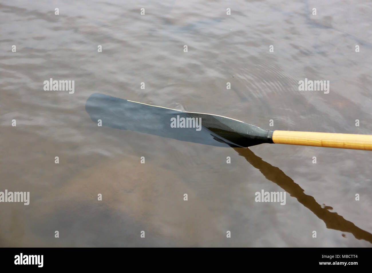 Aluminum oar blade dipping underwater when rowing on a freshwater lake or river in a close up view Stock Photo