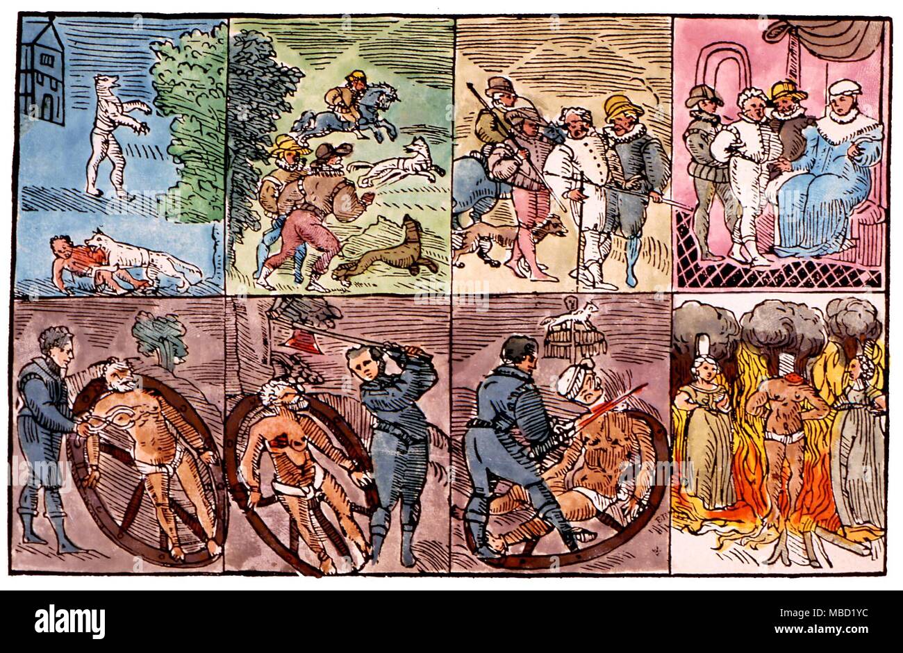 Werewolves Stages in the life and death of a werewolf, from his depredations, to this cruel torture and burning. From the 1590 woodcut illustration to 'The Damnable Liife and Death of One Stubbe Peeter' Stock Photo