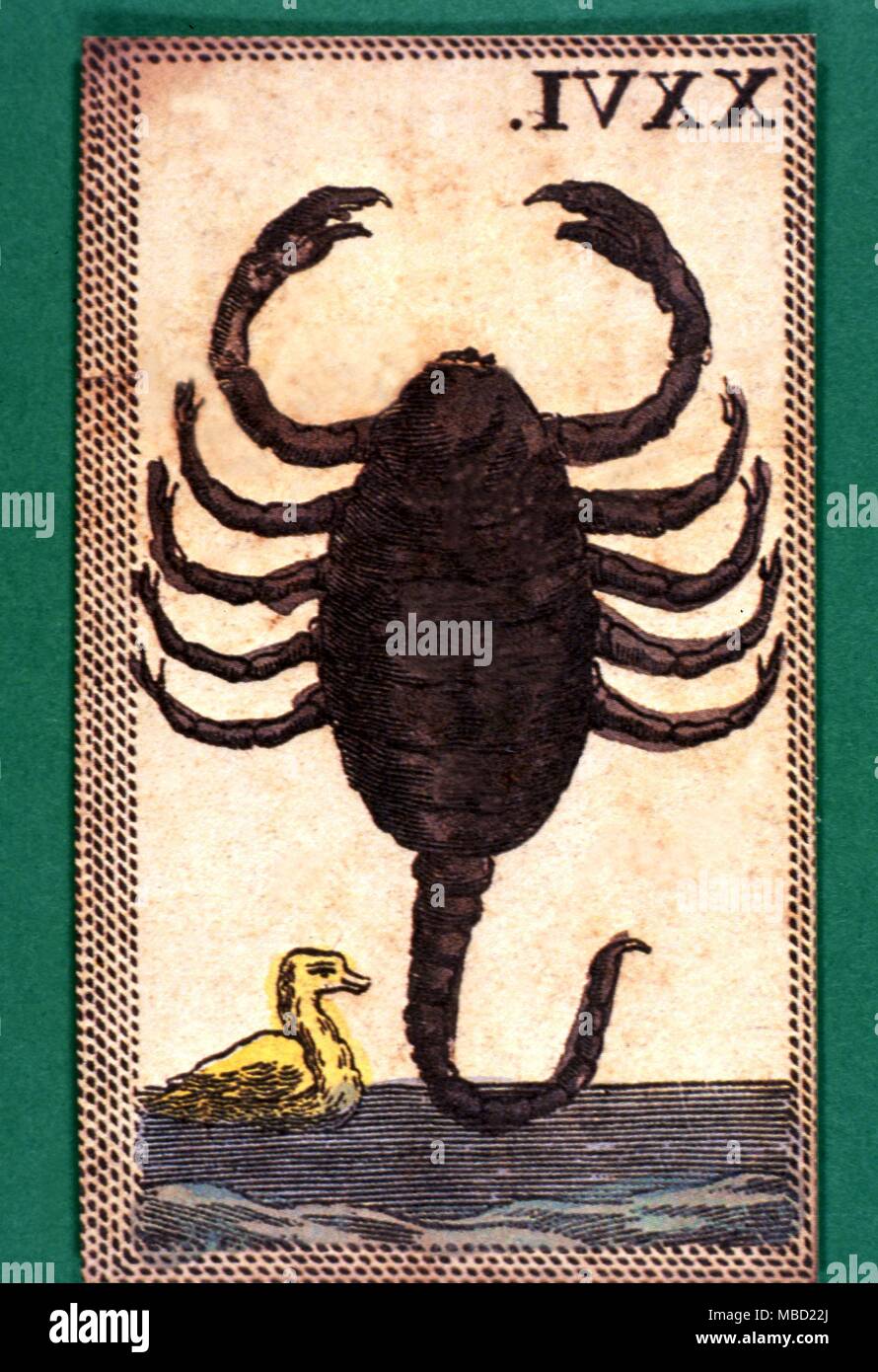 Tarot Cards Minichiate Deck. Scorpio Stock Photo Alamy